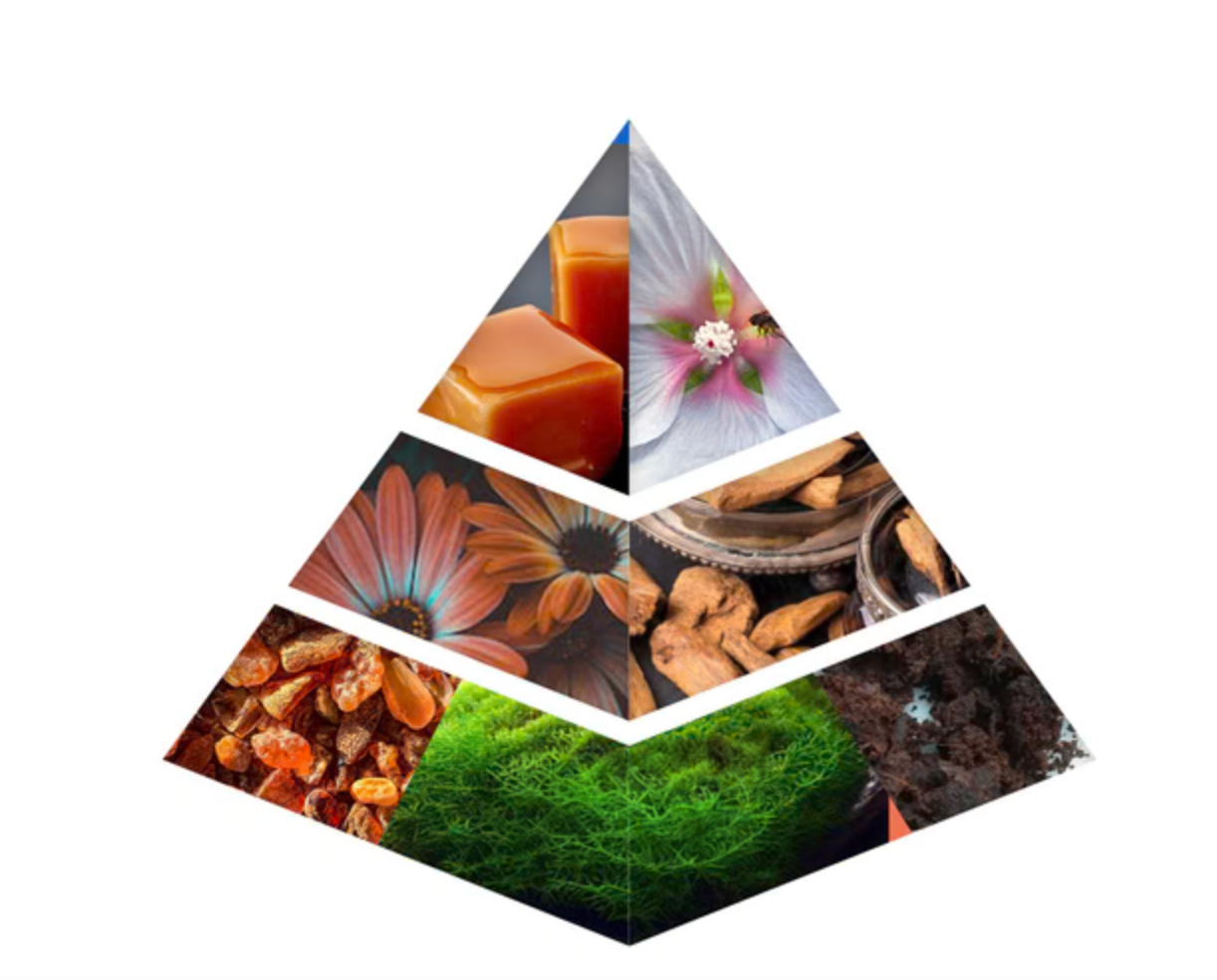 MUKHALATH MA'A WARD TAIBA 12 ML CONCETRATED OIL PERFUM - SUPPER HIGH END