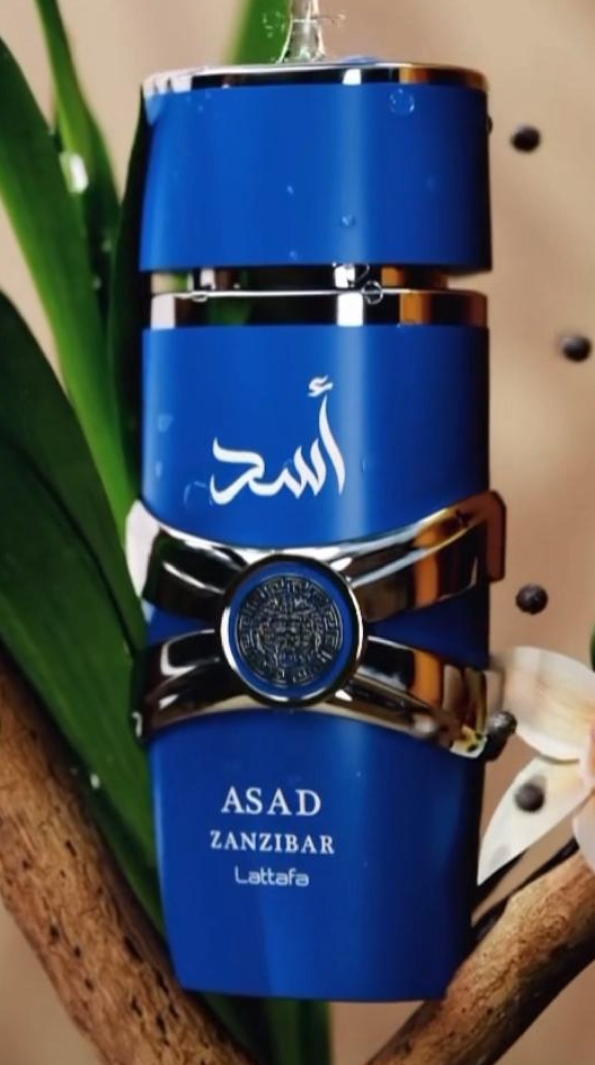 Lattafa Asad Zanzibar Edp 100 Ml by Lattafa