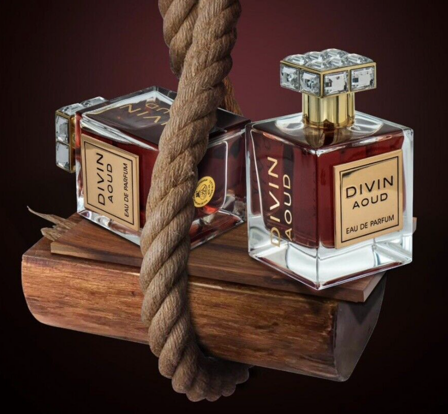 Divin Aoud EDP Perfume By Fragrance World 100 ML - NEWEST RELEASE