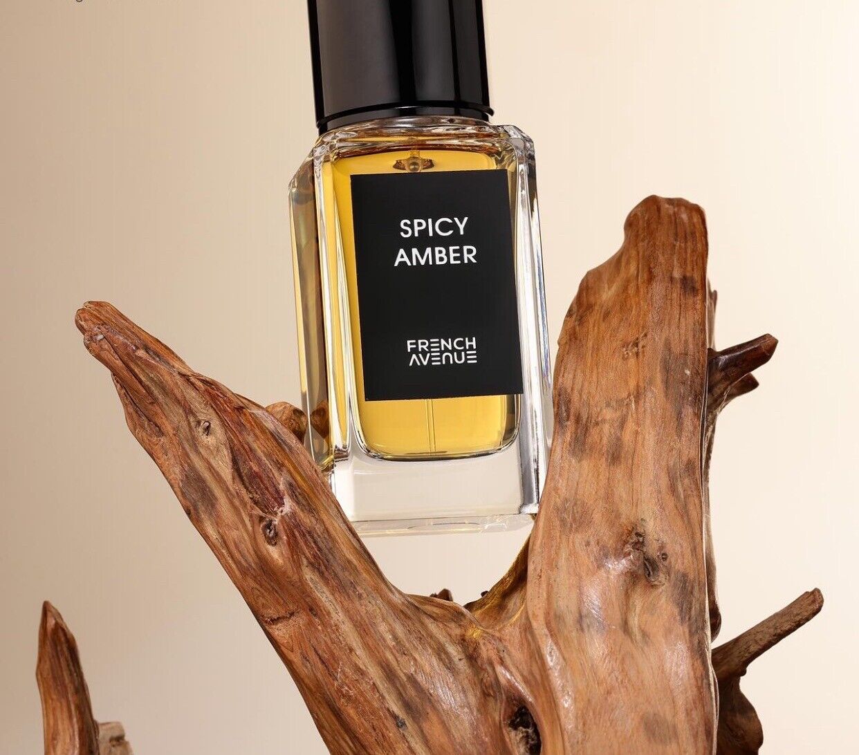 Spicy Amber Edp Perfum 100 ml by Fragrance World